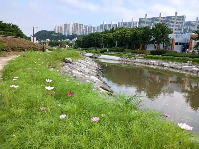 수정됨_KakaoTalk_20240720_092756567