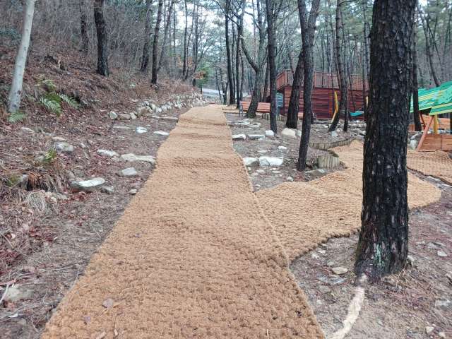 수정됨_KakaoTalk_20240206_151728796