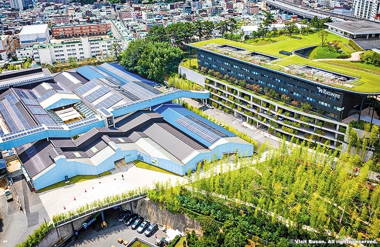 2-1-4 F1963_비짓부산_cw8