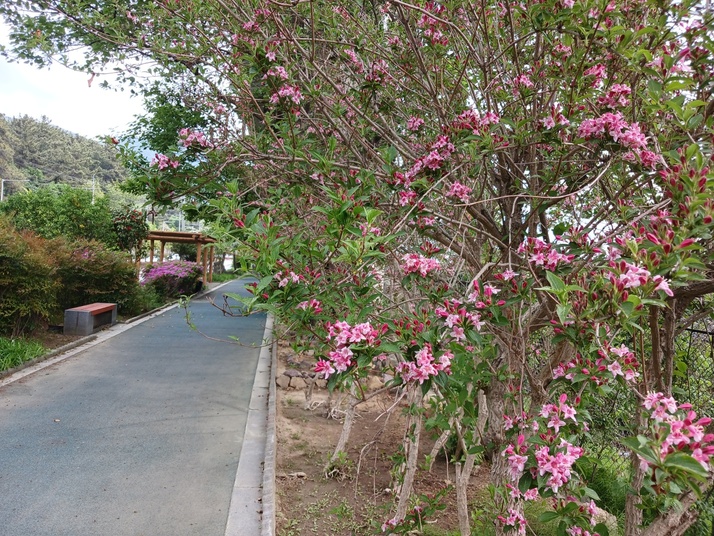 KakaoTalk_20250501_154554577