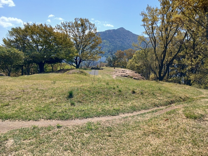 KakaoTalk_20250413_142418348