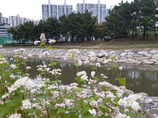 수정됨_KakaoTalk_20231008_165712673