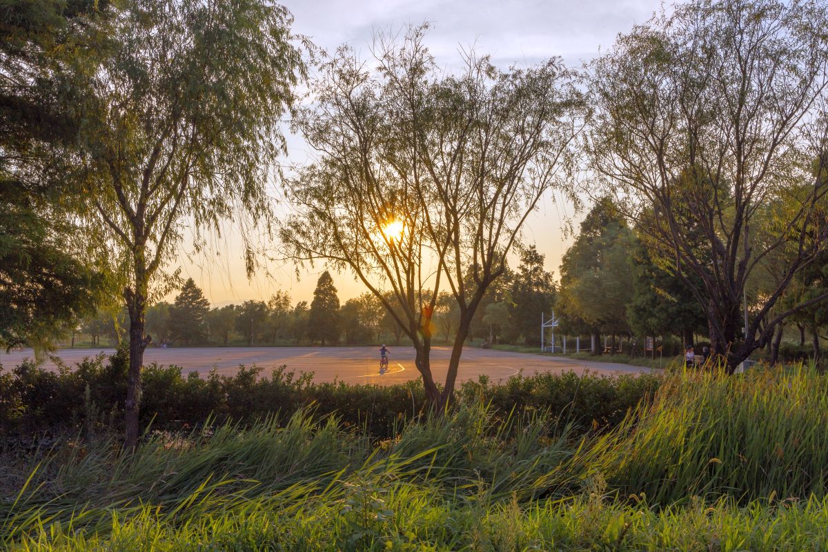 삼락생태공원일몰1