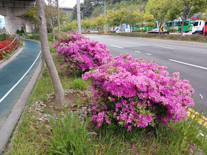 KakaoTalk_20250501_154548910