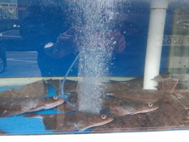 수정됨_KakaoTalk_20231112_034946562