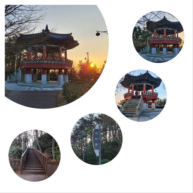 해마루 이모저모