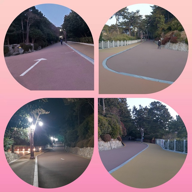 동백섬 산책로