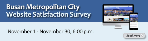 Busan Metropolitan City Web Site Satisfaction Survey