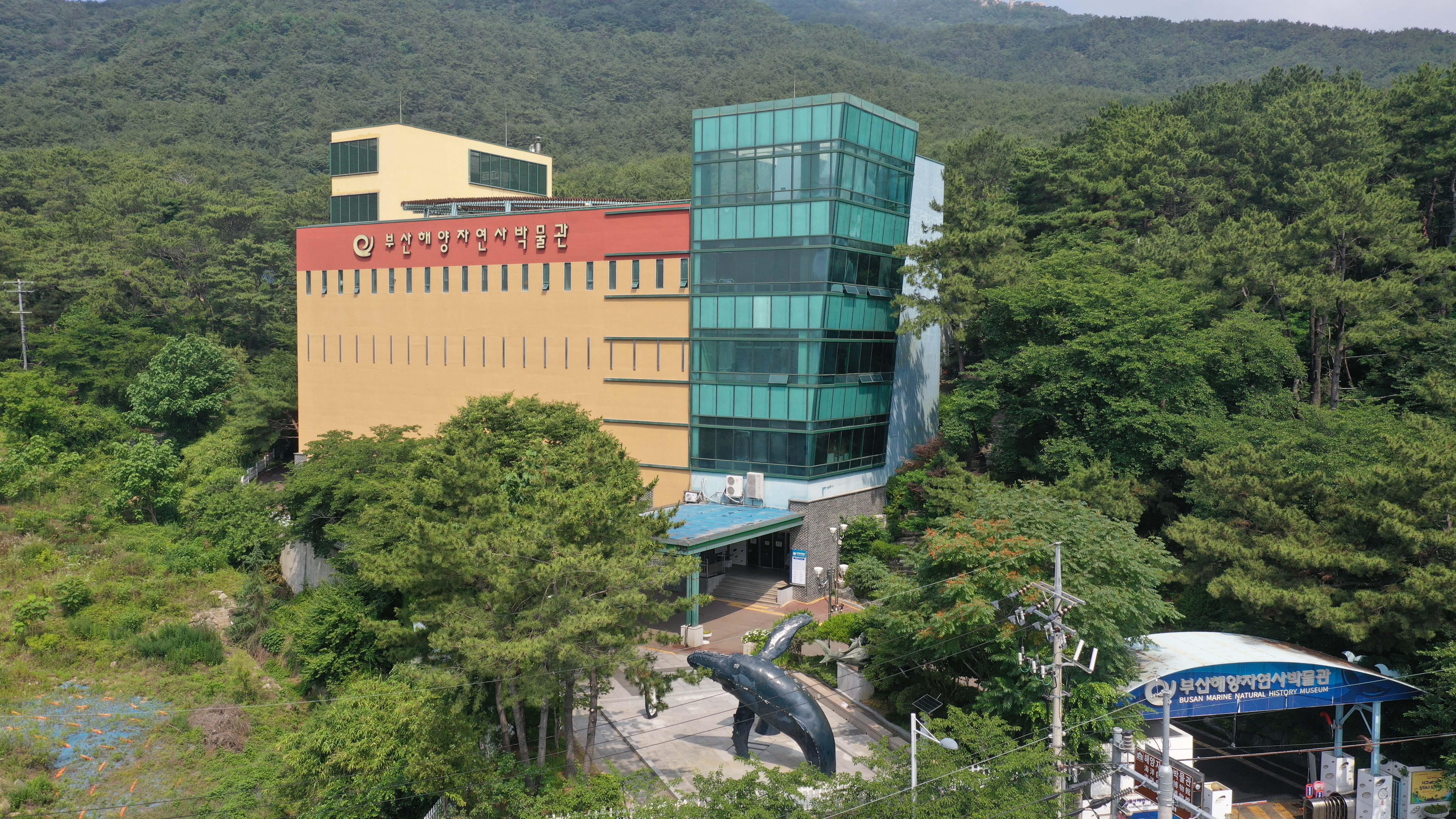 부산해양자연사박물관 들락날락 시설안내 1번째 사진