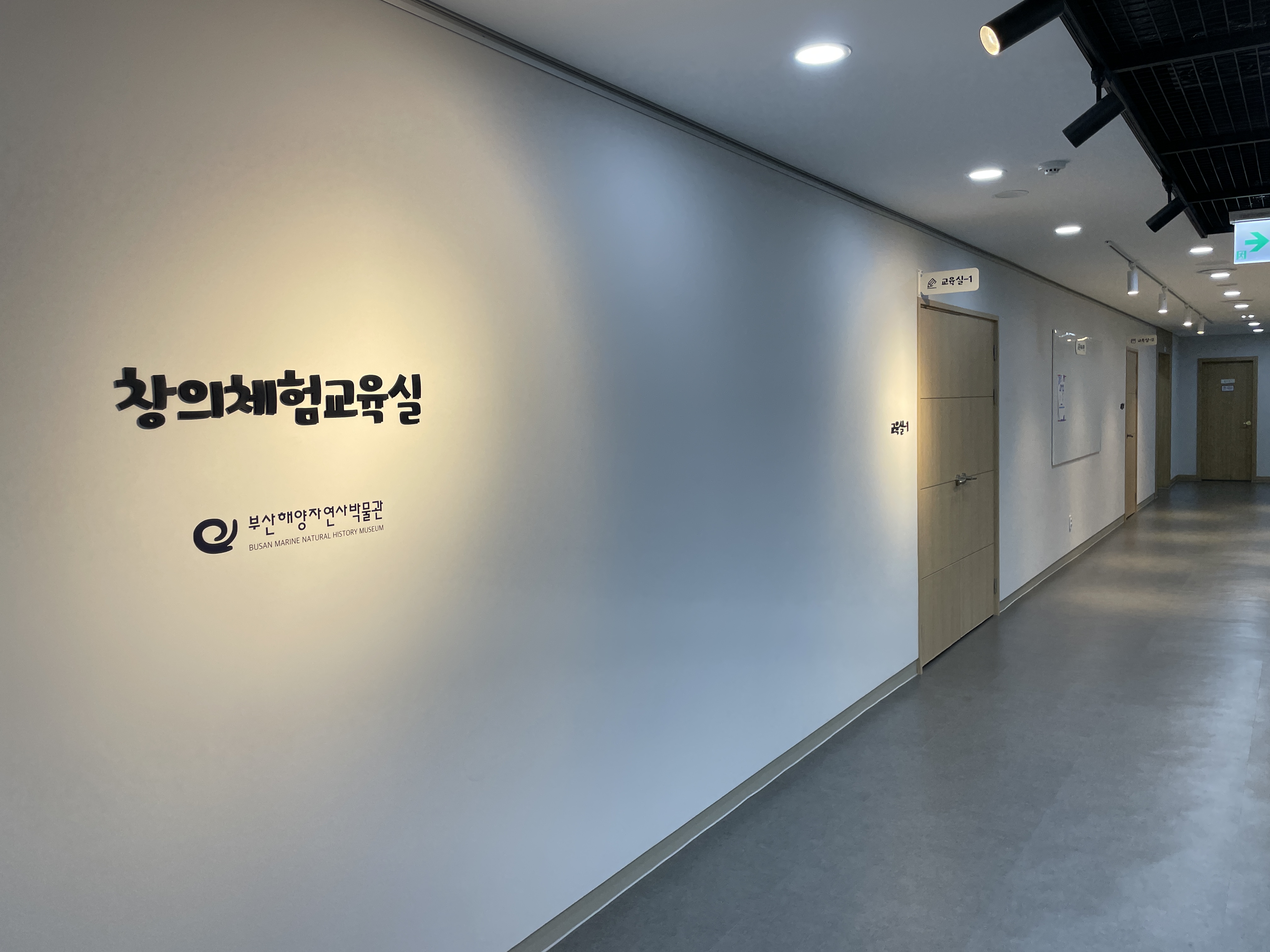 부산해양자연사박물관 들락날락 시설안내 10번째 사진