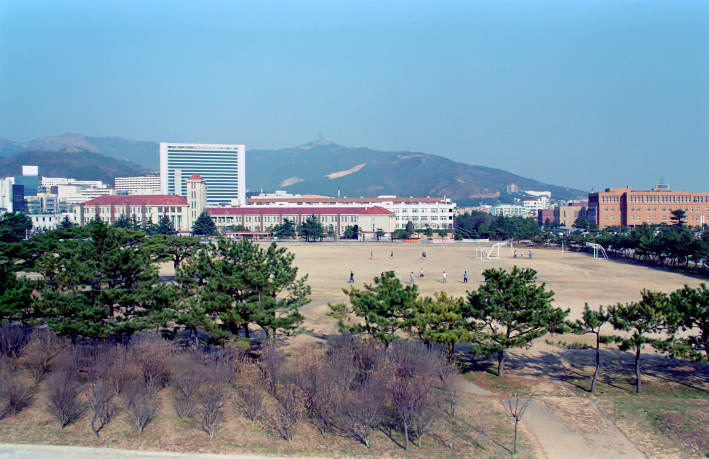 수산대하교 경기장