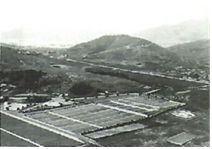 유엔묘지(재한유엔기념공원) 이미지2