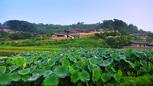 한국의 역사마을 : 하회와 양동 [Historic Villages of Korea : Hahoe and Yangdong] 이미지5