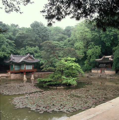 창덕궁 [Changdeokgung Palace Complex] 이미지4