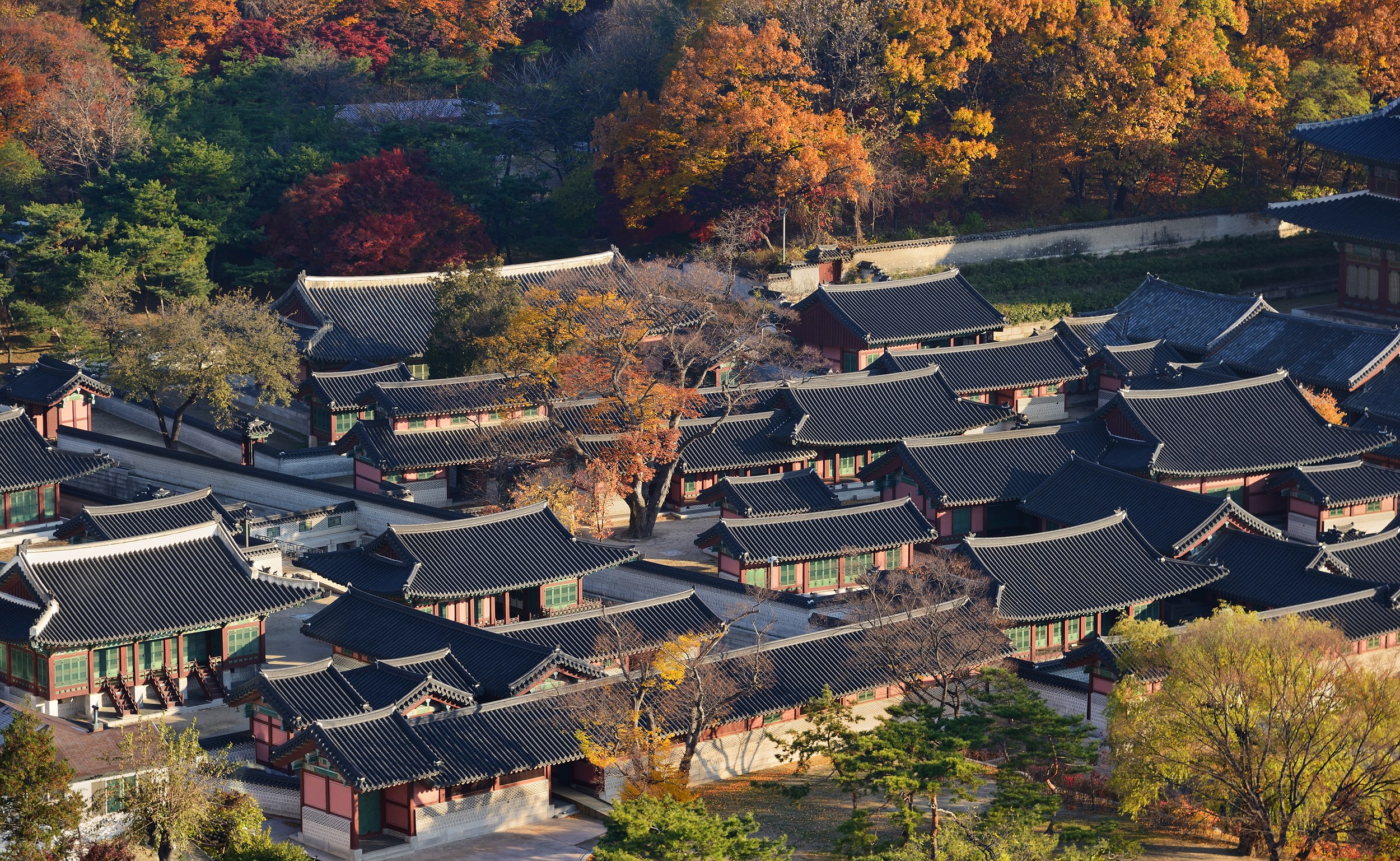 창덕궁 [Changdeokgung Palace Complex] 이미지6