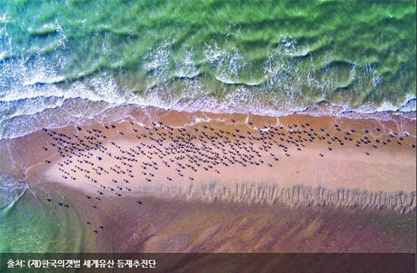 한국의 갯벌 [Getbol, Korean Tidal Flat] 이미지4