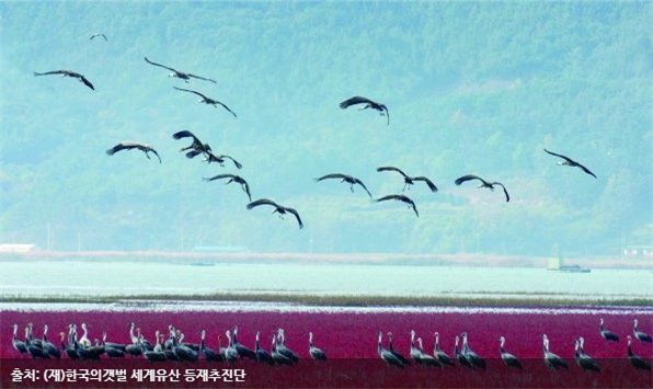 한국의 갯벌 [Getbol, Korean Tidal Flat] 이미지5