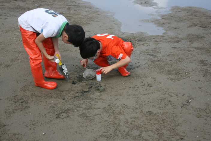 갯벌체험 (낙동강하구에코센터 여름방학특집 프로그램) 사진1