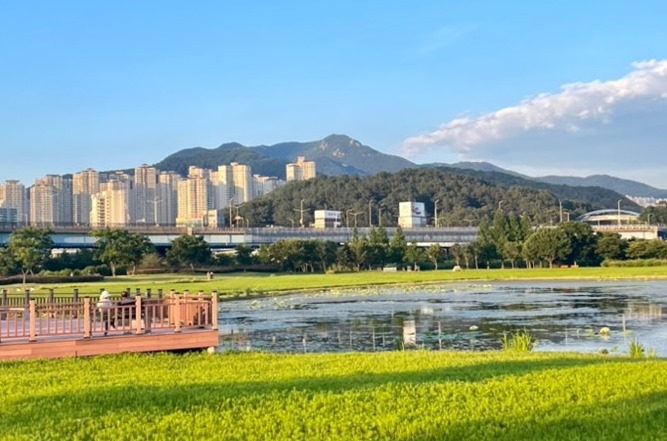 [Busan Travel Log] Hwamyeong Ecological Park, the hidden gem of the city 기사 이미지