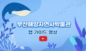 부산해양자연사박물관 앱 가이드 영상