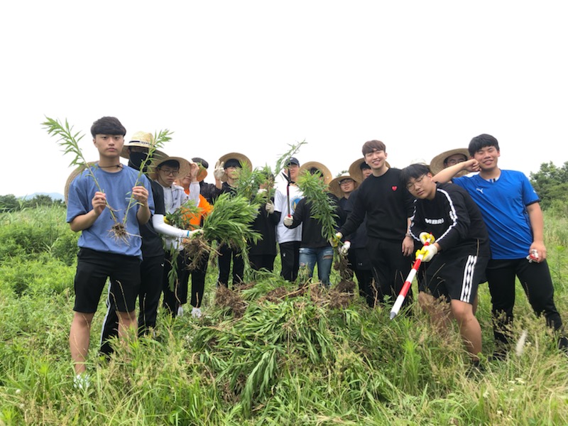 생태계교란식물 퇴치 봉사활동 (경남고등학교) 사진3