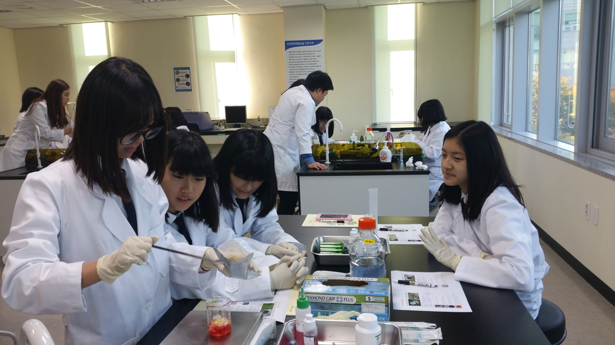 가야여중(약품교실, 2014년 11월 06일)썸네일