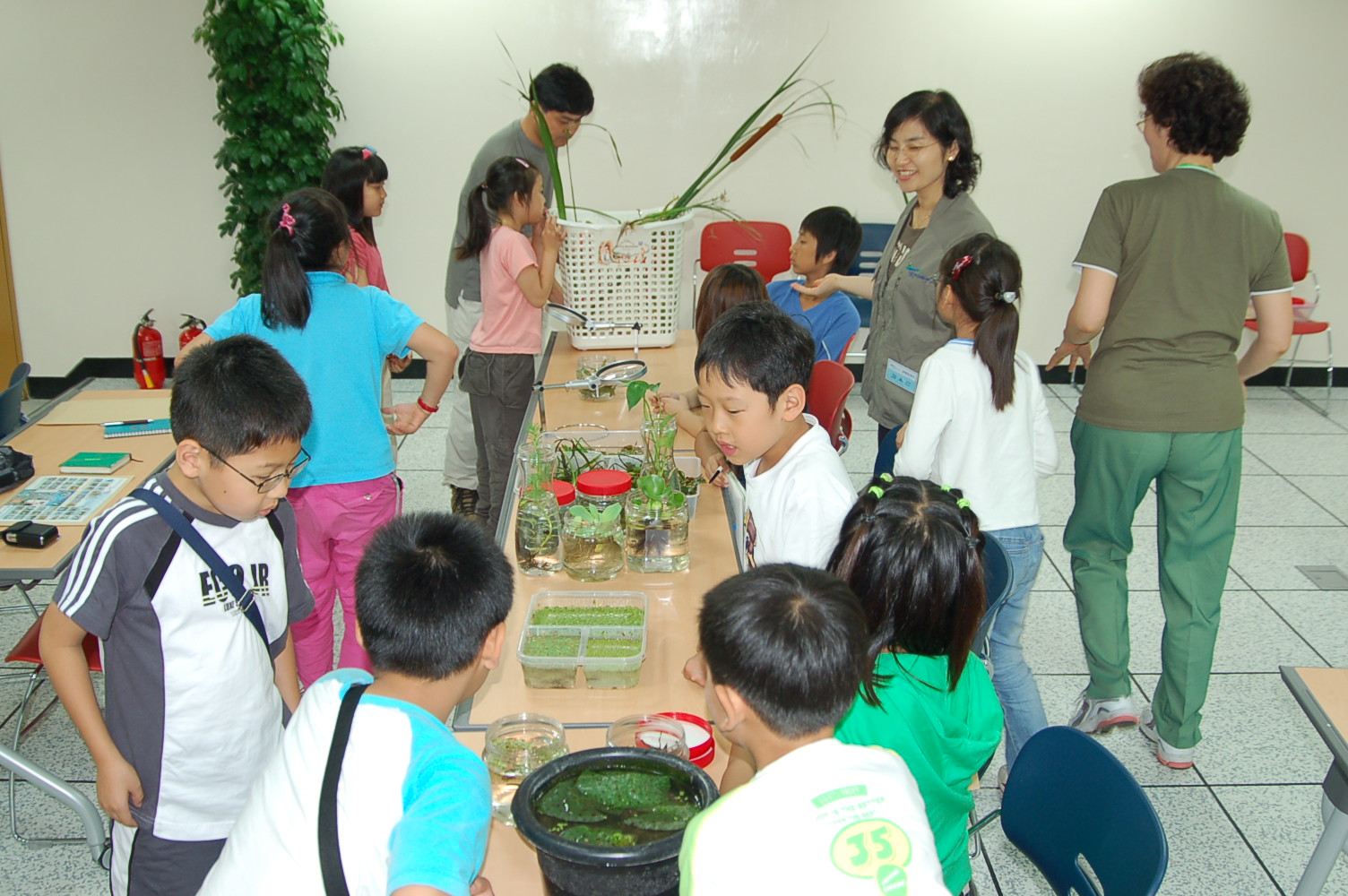 20070721 식물관찰 6썸네일