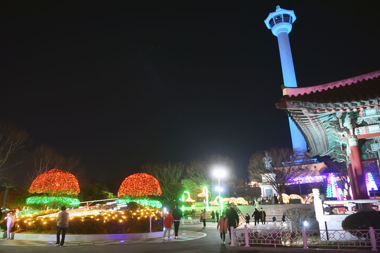 제13회 부산시민 크리스마스트리축제 (용두산공원)
