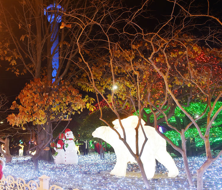 제13회 부산시민 크리스마스트리축제 (용두산공원)