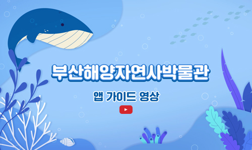부산해양자연사박물관 앱 가이드 영상