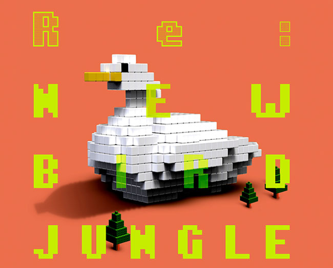 Re: New-Bird-Jungle