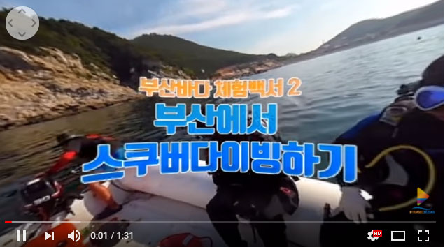 Scuba Diving in Taejongdae Sea 