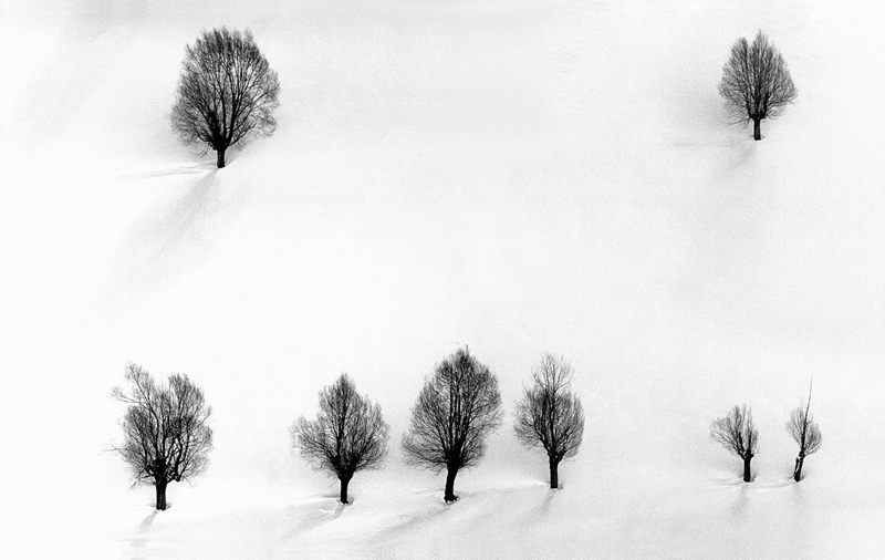 압바스 키아로스타미 ‘Snow No. 35’.