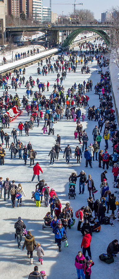 리도 운하는 겨울이 되면 7.8㎞ 길이의 천연 야외 스케이트장으로 변신한다. 이곳은 기네스북에 올라 있는 세계에서 가장 긴 야외 스케이트장이다. 