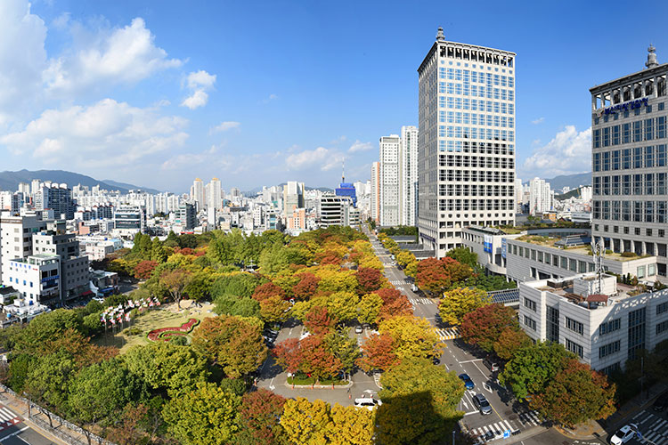 Busan City Hall 