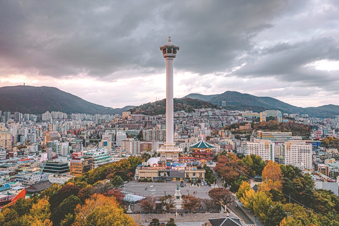 미로마다 골목마다 ‘가장 부산다운 맛’ 숨어 있다 기사 사진