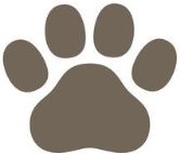 그림입니다.

원본 그림의 이름: CLP000023f045df.bmp

원본 그림의 크기: 가로 166pixel, 세로 142pixel