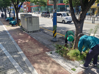 썸네일이미지