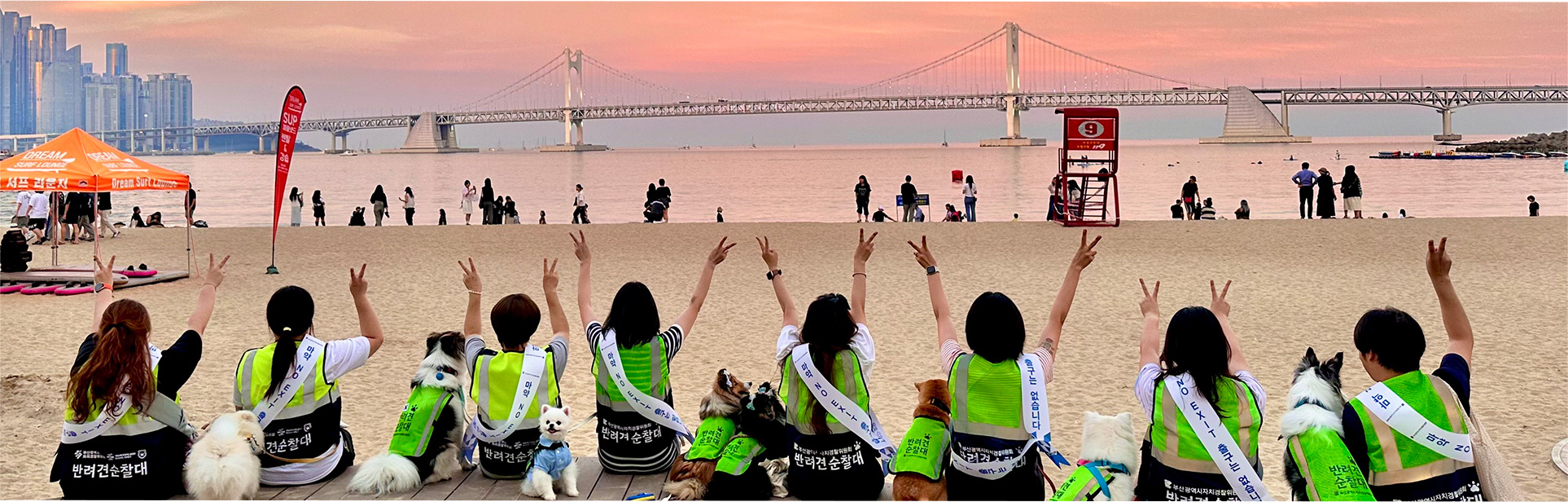 메인배너