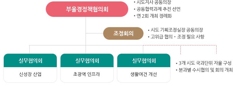 부울경정책협의회 :	
                ∙ 시도지사 공동의장
                ∙ 공동협력과제 추진 선언
                ∙ 연 2회 개최 정례화
                조정회의
                ∙ 시도 기획조정실장 공동의장
                ∙ 고위급 협의․조정 필요 사항
                실무협의회 : 광역교통분과
                실무협의회 : 광역관광분과
                실무협의회 : 광역에너지분과
                ∙ 3개 시도 국과단위 자율 구성
                ∙ 분과별 수시협의 및 회의 개최
                