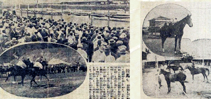 Horse Racing at Busanjin Burial Ground