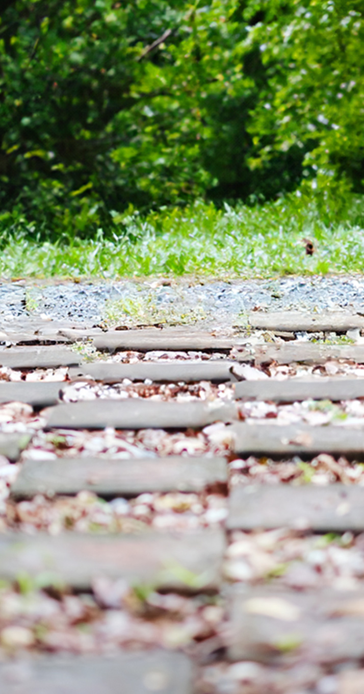 A gentle stroll that opens the heart — a place for rest, encounters, and the free flow of fresh ideas. Welcome to DOMOHEON.