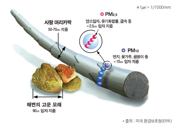 1㎛=1/1000mm 사람 머리카락 50~70㎛ 지름, 해변의 고운 모래 90㎛ 입자 지름, PM2.5 연소입자, 유기화합물, 금속 등 2.5㎛ 입자 지름, PM10 먼지, 꽃지름, 곰팡이 등 10㎛ 입자 지름 출처 : 미국 환경보호청(EPA)