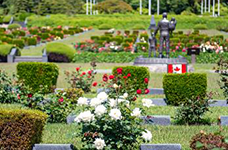 UN Memorial Cemetery