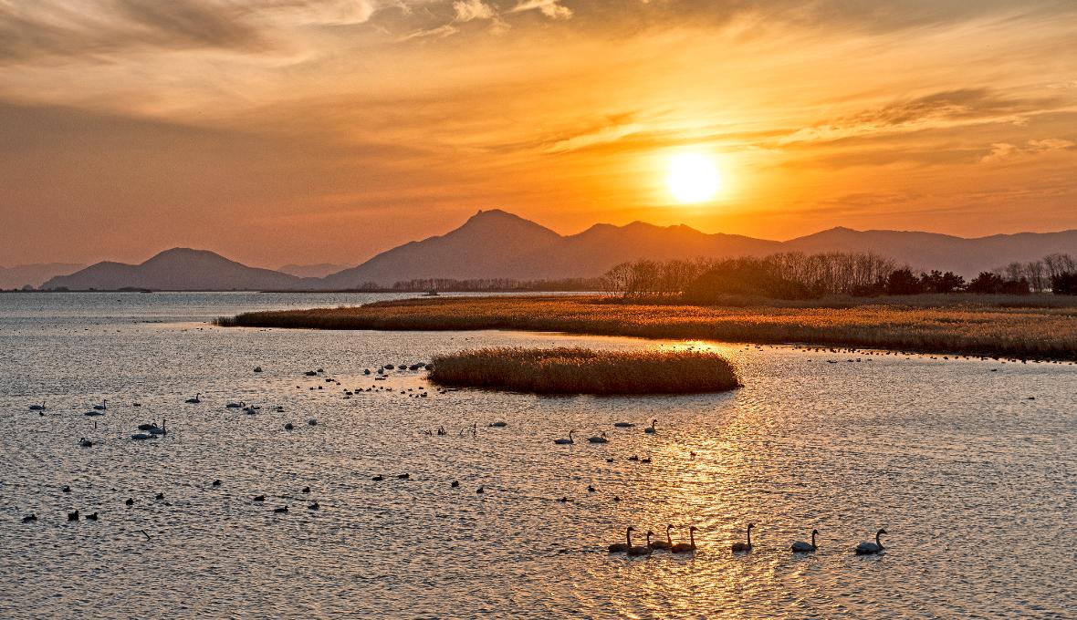 을숙도