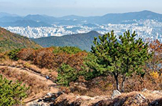 Baegyangsan Mountain photo