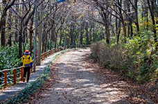일광산 전경