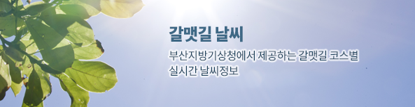 갈맷길 날씨
			                부산지방기상청에서 제공하는 갈맷길 코스별 실시간 날씨정보