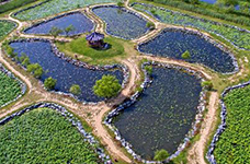 Samnak Ecological Park photo