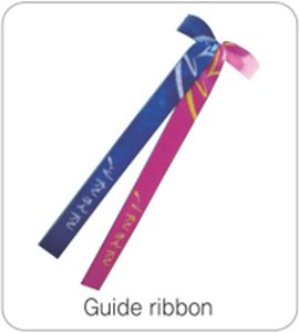 Guide ribbon
